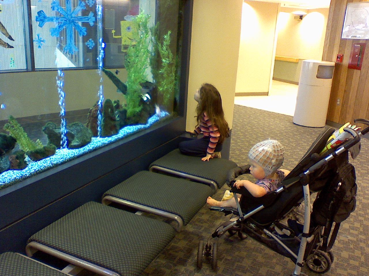 fishtank-hospital.jpg