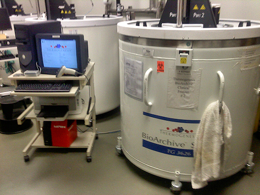 2010-04-19-0002.JPG