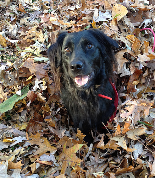 2011-10-25-0011.JPG